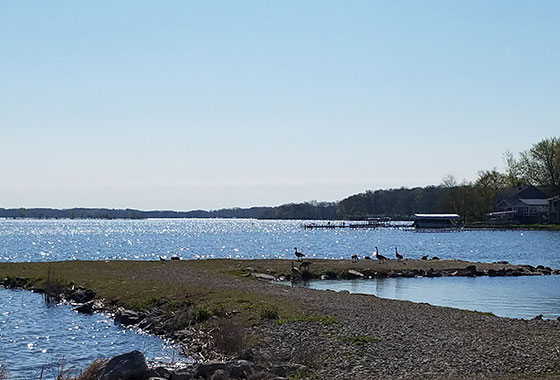 Ventura IA Homes for Sale